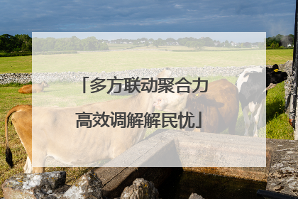 多方联动聚合力 高效调解解民忧