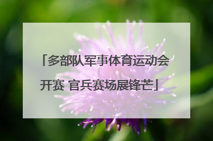 多部队军事体育运动会开赛 官兵赛场展锋芒