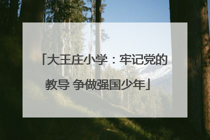 大王庄小学：牢记党的教导 争做强国少年