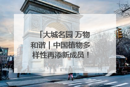 大城名园 万物和谐｜中国植物多样性再添新成员！它只在西藏墨脱