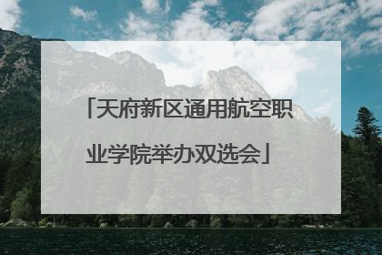 天府新区通用航空职业学院举办双选会