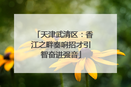 天津武清区：香江之畔奏响招才引智奋进强音