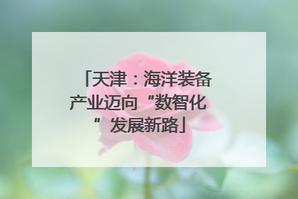 天津：海洋装备产业迈向“数智化”发展新路