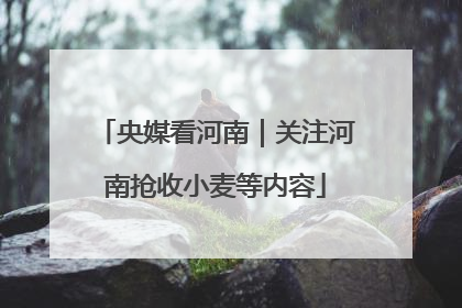 央媒看河南｜关注河南抢收小麦等内容