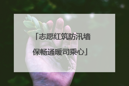 志愿红筑防汛墙 保畅通暖司乘心
