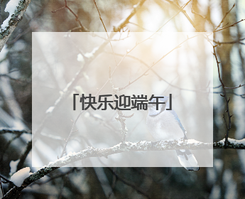 快乐迎端午