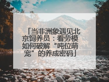 当非洲象遇见北京饲养员：看劳模如何破解“吨位萌宠”的养成密码