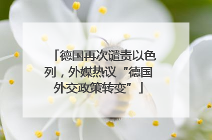 德国再次谴责以色列，外媒热议“德国外交政策转变”