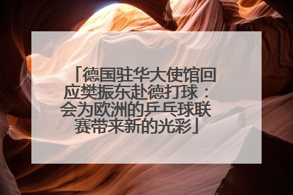 德国驻华大使馆回应樊振东赴德打球：会为欧洲的乒乓球联赛带来新的光彩