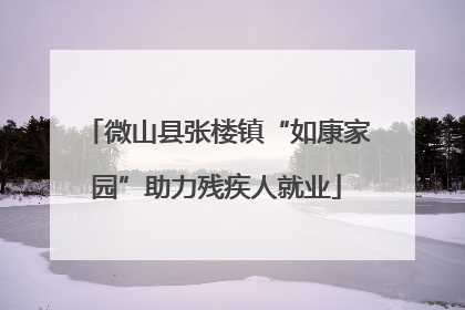 微山县张楼镇“如康家园”助力残疾人就业