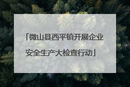 微山县西平镇开展企业安全生产大检查行动