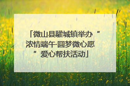 微山县驩城镇举办“浓情端午·圆梦微心愿”爱心帮扶活动
