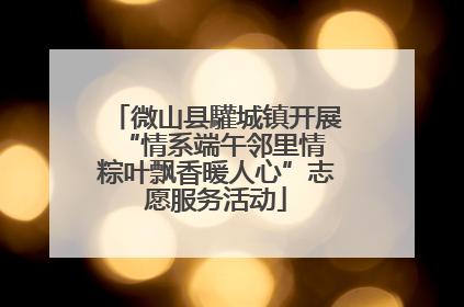 微山县驩城镇开展“情系端午邻里情 粽叶飘香暖人心”志愿服务活动