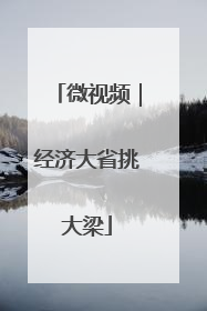 微视频｜经济大省挑大梁