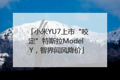 小米YU7上市“咬定”特斯拉Model Y，智界闻风降价
