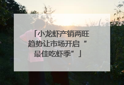 小龙虾产销两旺趋势让市场开启“最佳吃虾季”