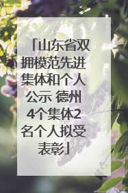 山东省双拥模范先进集体和个人公示 德州4个集体2名个人拟受表彰