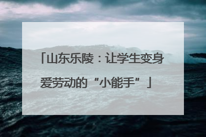 山东乐陵：让学生变身爱劳动的“小能手”