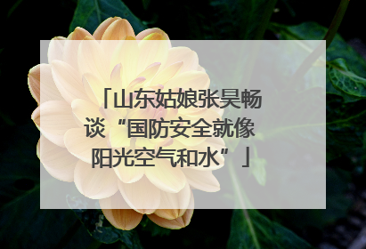 山东姑娘张昊畅谈“国防安全就像阳光空气和水”