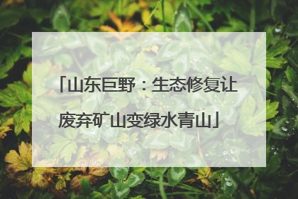 山东巨野：生态修复让废弃矿山变绿水青山