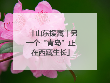 山东援藏｜另一个“青岛”正在西藏生长