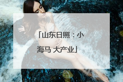山东日照：小海马 大产业