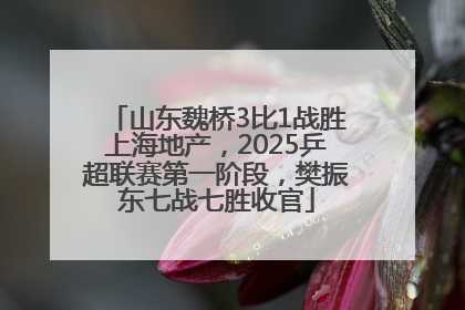 山东魏桥3比1战胜上海地产，2025乒超联赛第一阶段，樊振东七战七胜收官