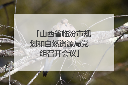 山西省临汾市规划和自然资源局党组召开会议
