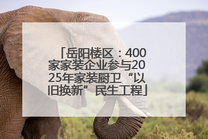 岳阳楼区：400家家装企业参与2025年家装厨卫“以旧换新”民生工程
