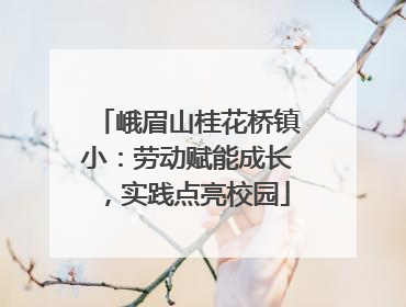 峨眉山桂花桥镇小：劳动赋能成长，实践点亮校园
