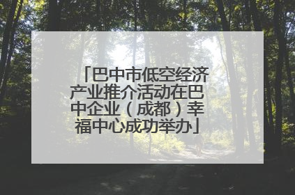 巴中市低空经济产业推介活动在巴中企业（成都）幸福中心成功举办