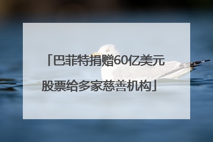巴菲特捐赠60亿美元股票给多家慈善机构