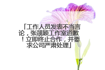 工作人员发表不当言论，张靓颖工作室道歉！立即终止合作，并要求公司严肃处理