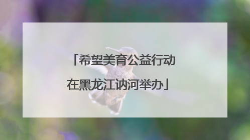 希望美育公益行动在黑龙江讷河举办