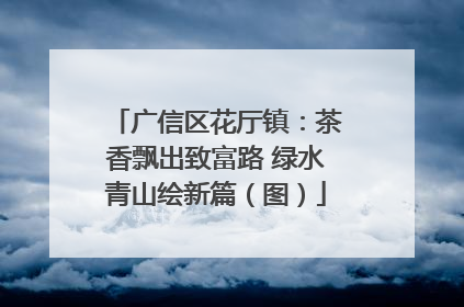 广信区花厅镇：茶香飘出致富路 绿水青山绘新篇（图）