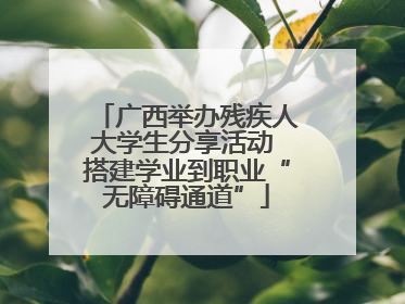 广西举办残疾人大学生分享活动 搭建学业到职业“无障碍通道”