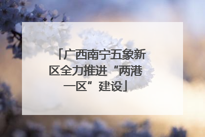 广西南宁五象新区全力推进“两港一区”建设