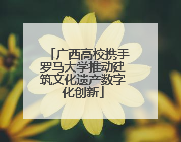 广西高校携手罗马大学推动建筑文化遗产数字化创新