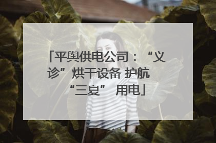 平舆供电公司：“义诊”烘干设备 护航 “三夏” 用电
