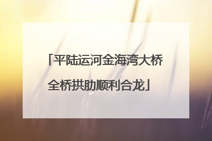 平陆运河金海湾大桥全桥拱肋顺利合龙