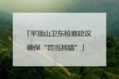 平顶山卫东检察建议确保“罚当其错”