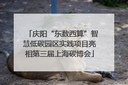 庆阳“东数西算”智慧低碳园区实践项目亮相第三届上海碳博会