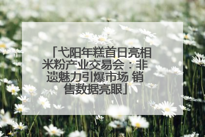 弋阳年糕首日亮相米粉产业交易会：非遗魅力引爆市场 销售数据亮眼