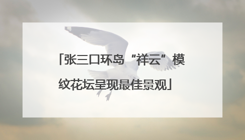 张三口环岛“祥云”模纹花坛呈现最佳景观