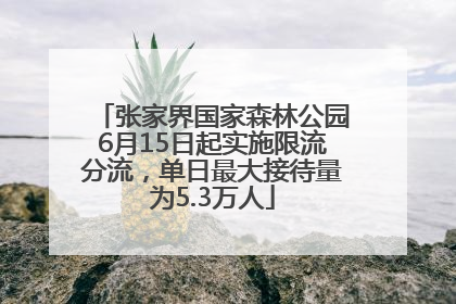 张家界国家森林公园6月15日起实施限流分流，单日最大接待量为5.3万人