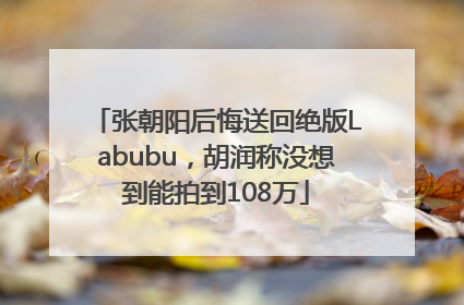 张朝阳后悔送回绝版Labubu，胡润称没想到能拍到108万
