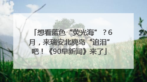 想看蓝色“荧光海”？6月，来瑞安北麂岛“追泪”吧！《90早新闻》来了