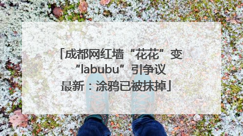 成都网红墙“花花”变“labubu”引争议 最新：涂鸦已被抹掉