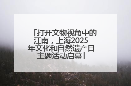 打开文物视角中的江南，上海2025年文化和自然遗产日主题活动启幕