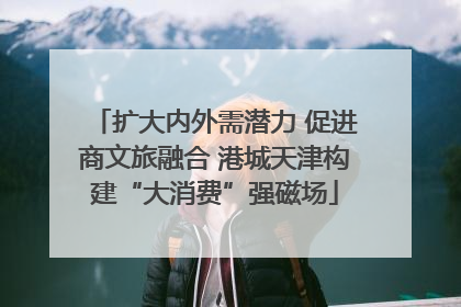 扩大内外需潜力 促进商文旅融合 港城天津构建“大消费”强磁场
